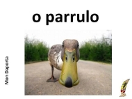 O parrulo